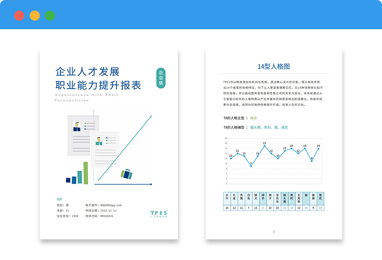 企业版 | 性格与职业能力评估报表